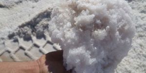 Raw Sea Salt