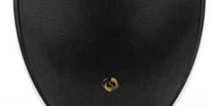 Professional Speaker