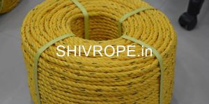 PP Danline Rope