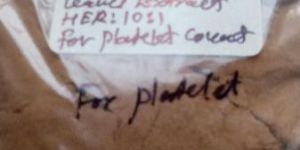 Carica Papaya Extract