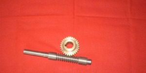 Bevel Gear