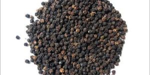 Black Pepper