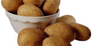 Potato