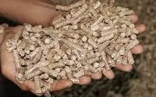 Biomass Pellet