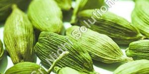 Green Cardamom