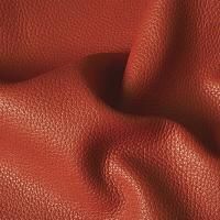 Cow Finished Leather