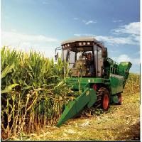 Maize Combine Harvester