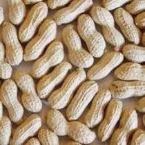 Shelled Groundnuts