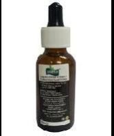 Stevia Extracts