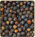 Black Pepper