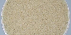 Basmati Rice