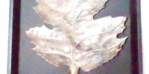 Antique Wall Hangings