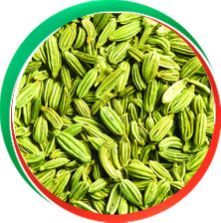 Fennel Seeds
