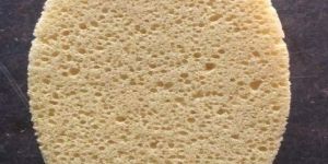 Imported Oval Sponge