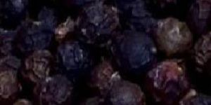 Black Pepper