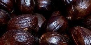 Nutmeg