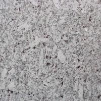 Polished Granite Slabs