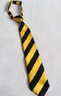 School Tie
