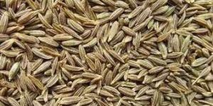 Cumin Seeds(Jeera)