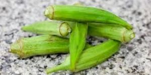 Fresh Okra