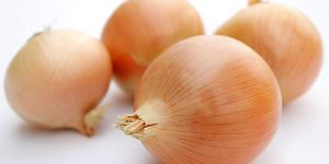 Onion