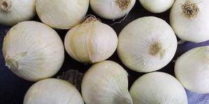 White Onion