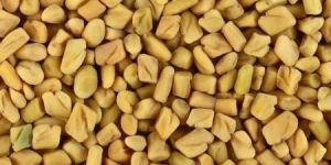 Fenugreek Seeds