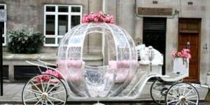 Cindrella Horse Carriage