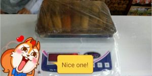 Electronic Weighing Scales