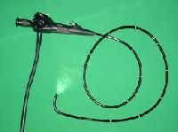 Endoscope