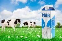 Cow Milk