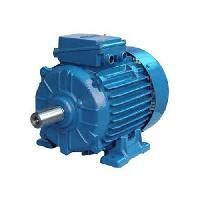 Low Voltage AC Motors