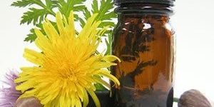 Calamus Oil