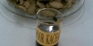 Kapoor Kachri Oil