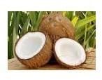 Fresh Coconut, Mature Coconut