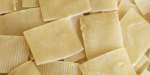 Biscuit Shape Wheat Pellets