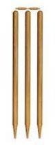Cricket Stumps