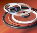 PTFE O Rings