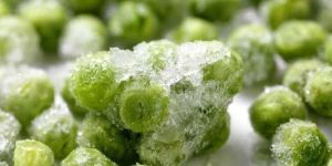 Frozen Food