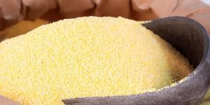 Yellow Corn Meal