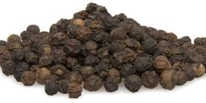 Black Pepper Seeds