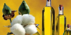 Cottonseed Oil