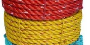 PP Danline Rope