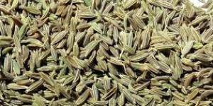 Cumin Seeds