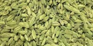 Fennel Seeds