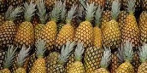 Fresh Pineapple