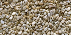 Sesame Seed