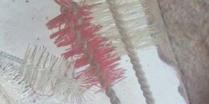 Bottle Cleaning Brush