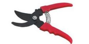 Lady Pruning Shear