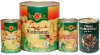 Canned Mushroom